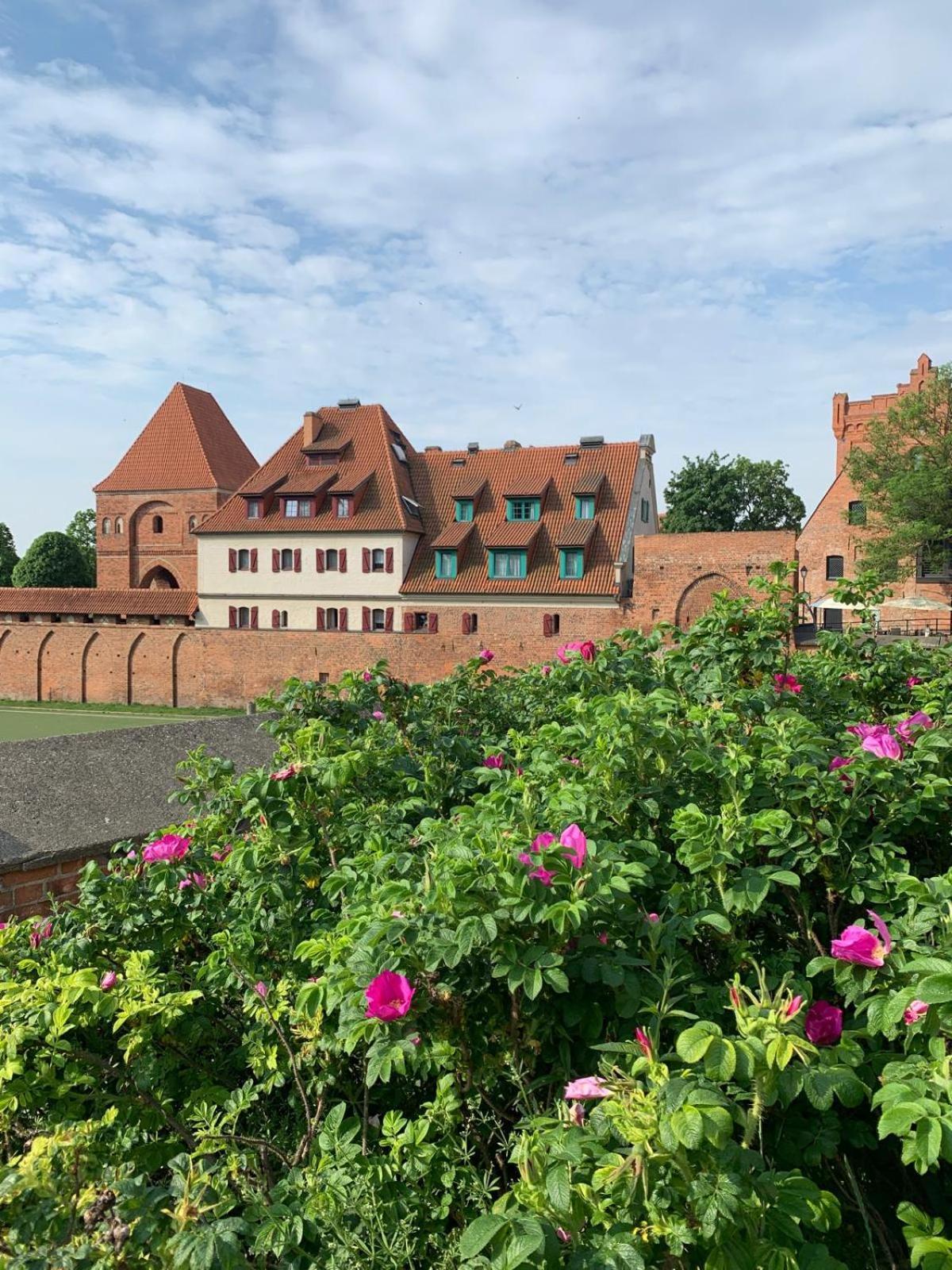 Apartament Krysztalowy Ac Progres Stary Toruń Dış mekan fotoğraf
